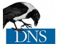 Hosted Authoritative DNS Providers