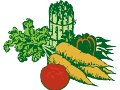 Association de légumes au jardin potager bio