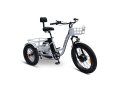 Anywhere Fat Tire Low Step through Rugged Edition Trike 500W