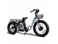 Emojo Caddy Fat Tire Electric Tricycle - 500W
